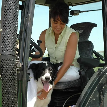伊尔费罗住宿加早餐旅馆