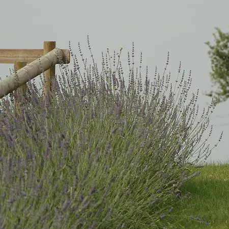 住宿加早餐酒店 伊尔费罗住宿加早餐旅馆 *