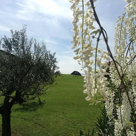 伊尔费罗住宿加早餐旅馆 * 明乔河畔的瓦雷奇奥