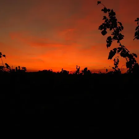 Bed and breakfast Il Filo' *