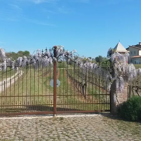 伊尔费罗住宿加早餐旅馆 *