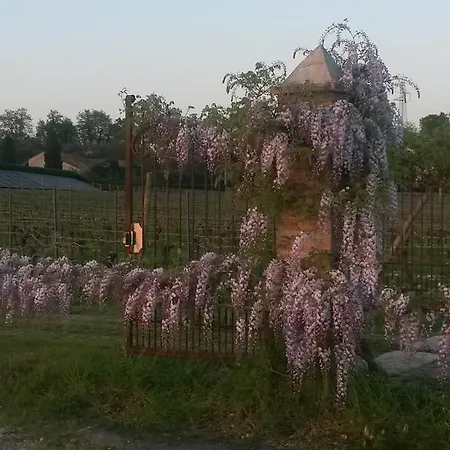 Il Filo' Bed and breakfast *