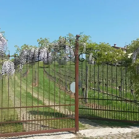 Il Filo' Valeggio sul Mincio