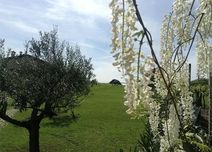 Il Filo' * Valeggio sul Mincio